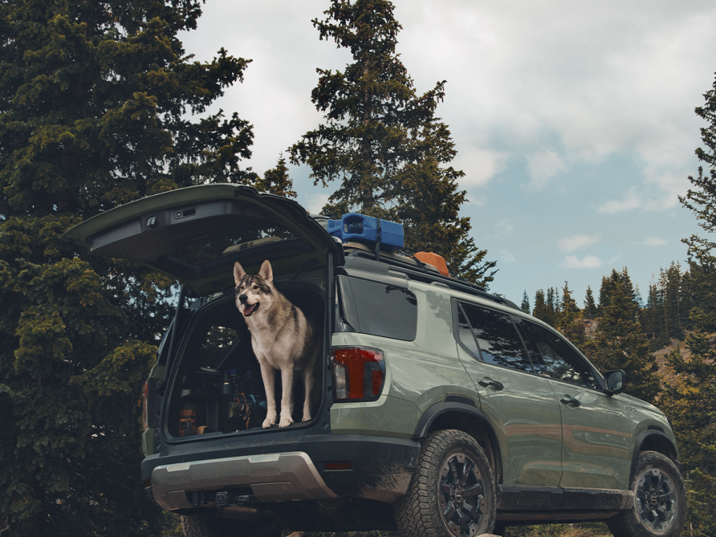 A dog that appears to be the husky breed stands in the cargo area of a dusty green Honda Passport. The vehicle sits on a hill in a forested area.