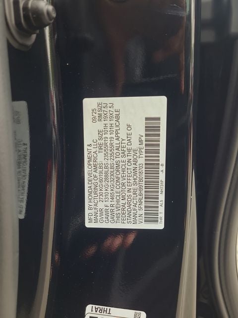 2026 Honda Odyssey Elite