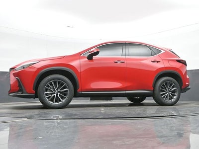 2024 Lexus NX 250 Base