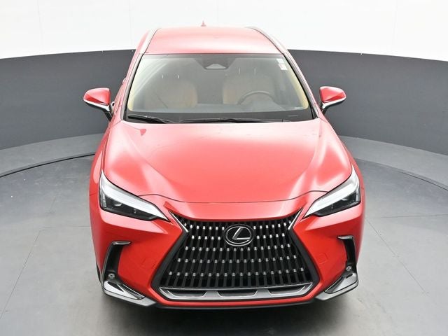 2024 Lexus NX 250 Base