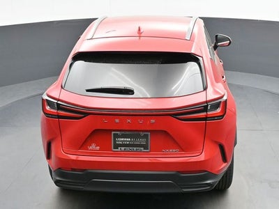 2024 Lexus NX 250 Base