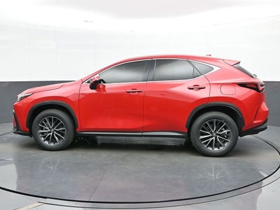 2024 Lexus NX 250 Base