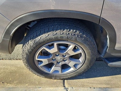 2023 Honda Passport TrailSport