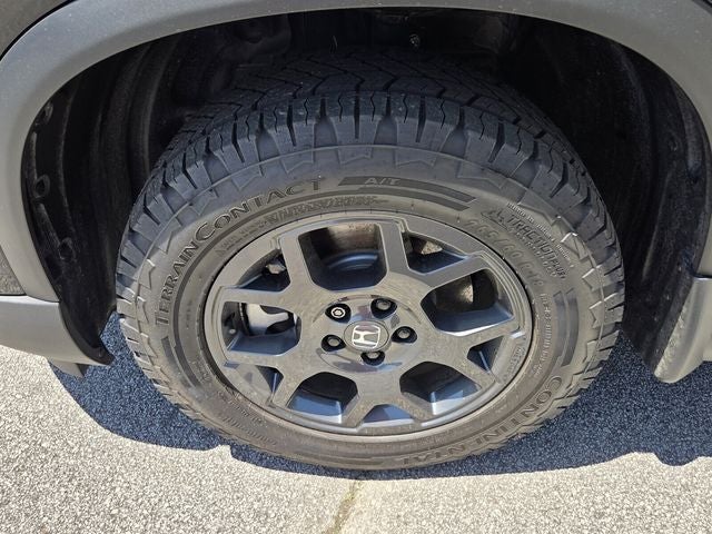 2025 Honda Pilot TrailSport