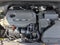2021 Kia Sportage S